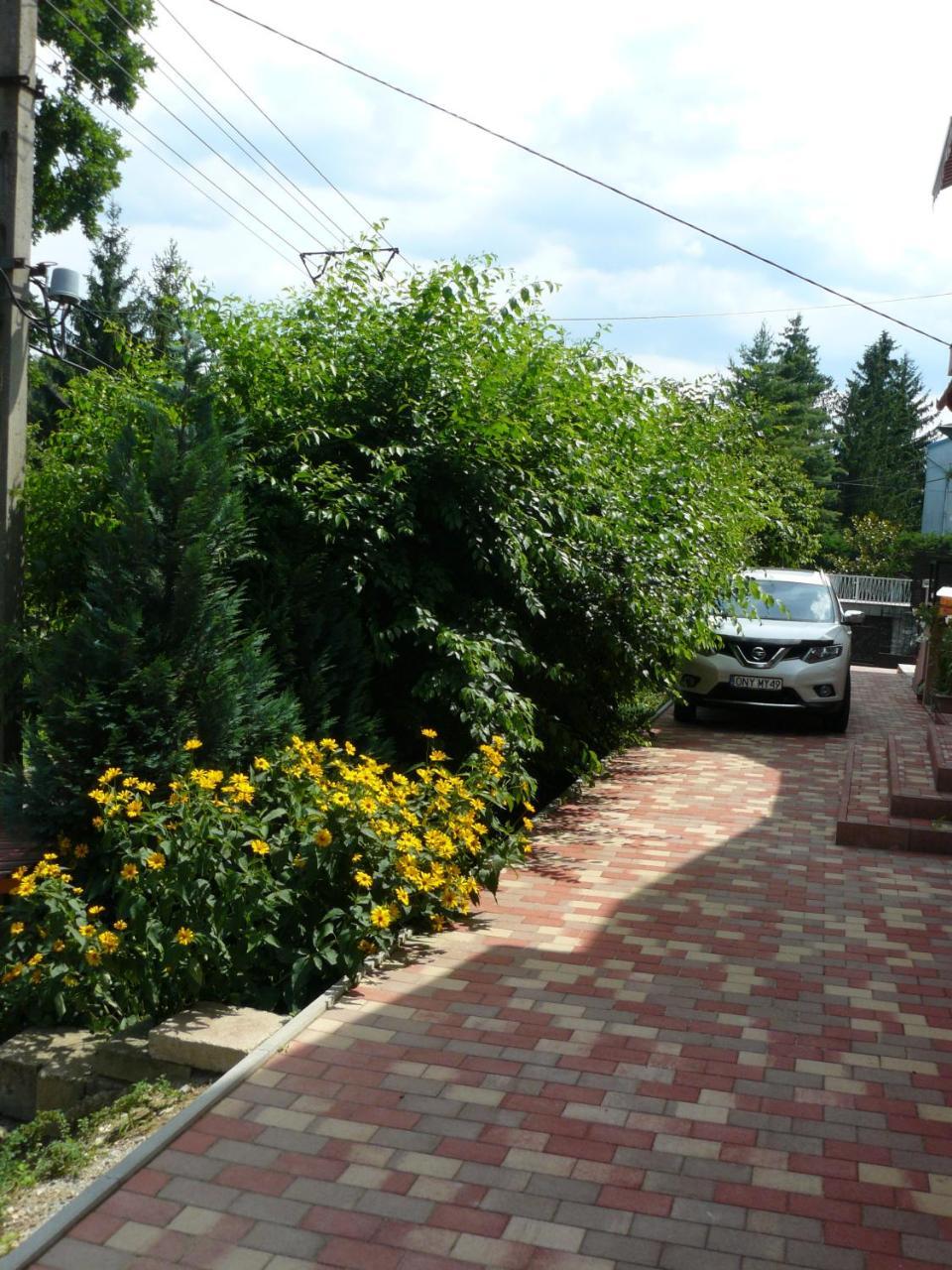 Hejo Apartman Miskolc Exterior photo